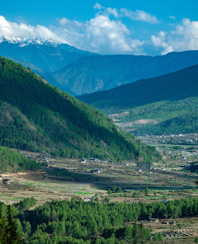 Punakha
